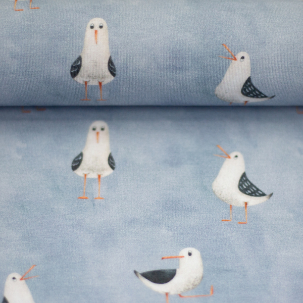 Jersey Möwen blaugrau