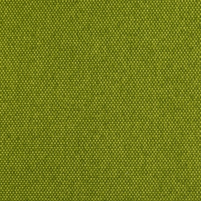 Panama Melange kiwi