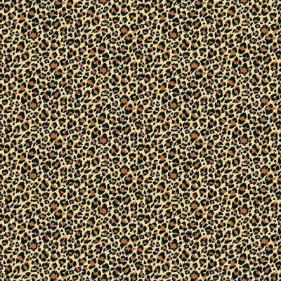 Leopard Muster