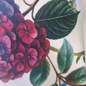 Hortensien Canvas