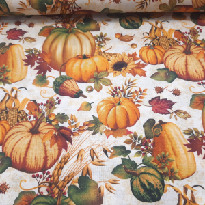 Autumn Fields Kürbis