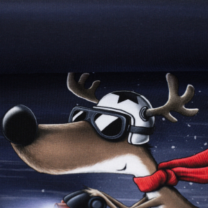 Wintermoods by Thorsten Berger Rentier auf Roller