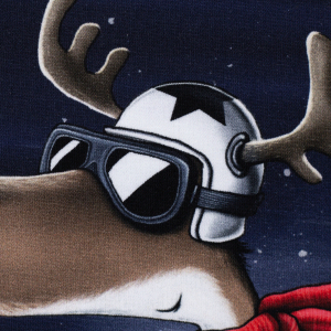 Wintermoods by Thorsten Berger Rentier auf Roller