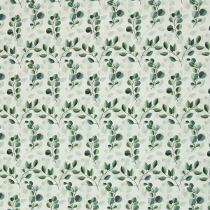 Eukalyptus grün weiss