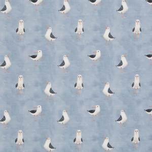 Jersey Möwen blaugrau