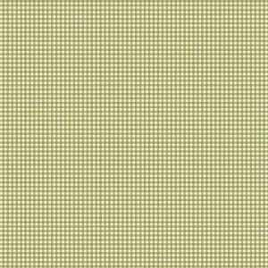 Kleine Karos, Gingham green