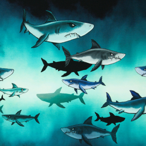 SHARK TANK BY THORSTEN BERGER, FRENCH TERRY 85x160