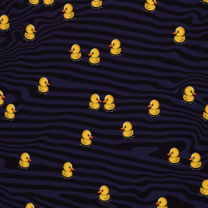 French Terry What the Duck by Thorsten Berger /Kombistoff
