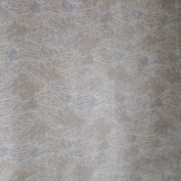 Reef Korallen beige