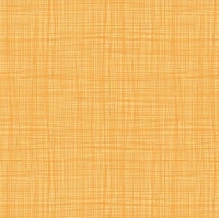 Criss cross Sunshine