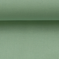Canvas Mint