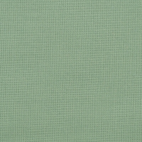 Canvas Mint