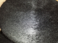 Kanninchenfell Zylinder gebürstet Gr 60