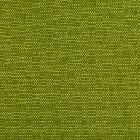 Panama Melange kiwi