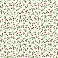 Sommer Rosenknospe rot