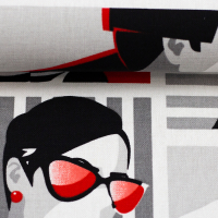 En Vogue Canvas Taschenstoff