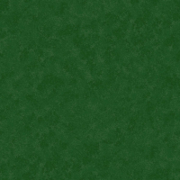 Spraytime dunkelgrün