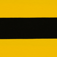 Jersey Jecke schwarz gelb Streifen Biene
