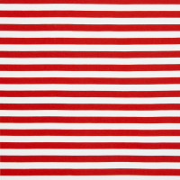 Jersey Jecke rot weiss Streifen
