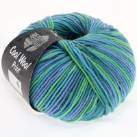 Cool Wool Print 757